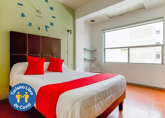 Hotel Allende 104