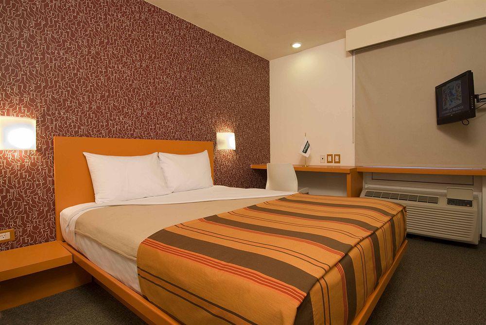Hotel Express Junior Chihuahua