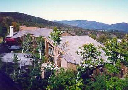 Sicomoro Chihuahua