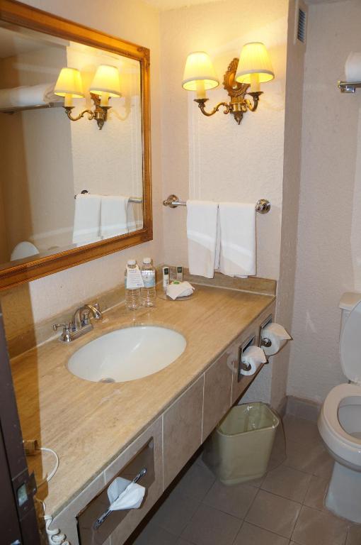 Hotel Palacio Del Sol 5*