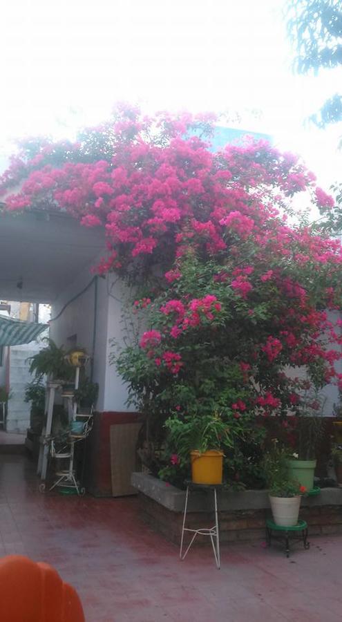 Pensión Casa Huespedes Lolita *