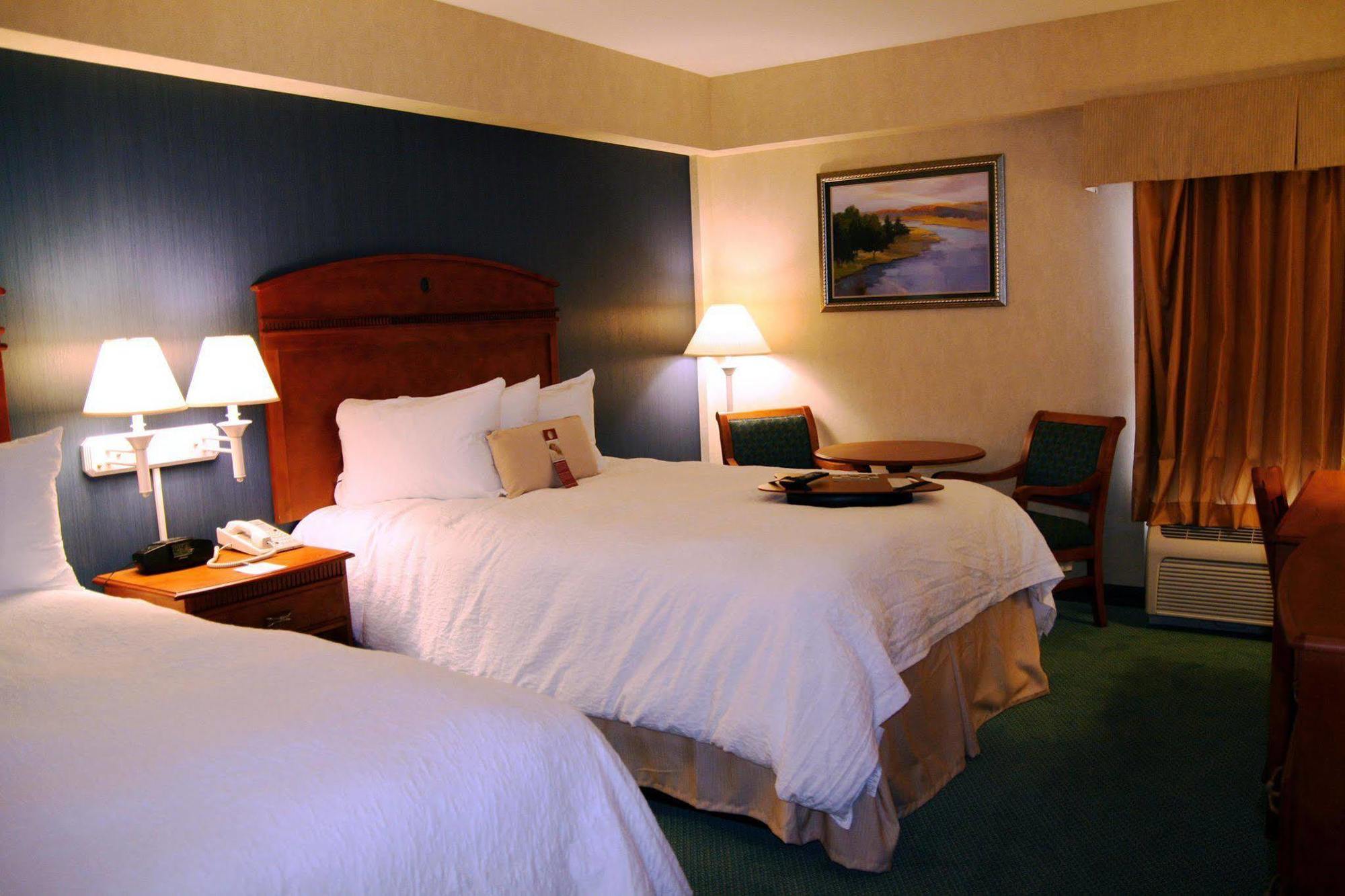 Hampton By Hilton Chihuahua