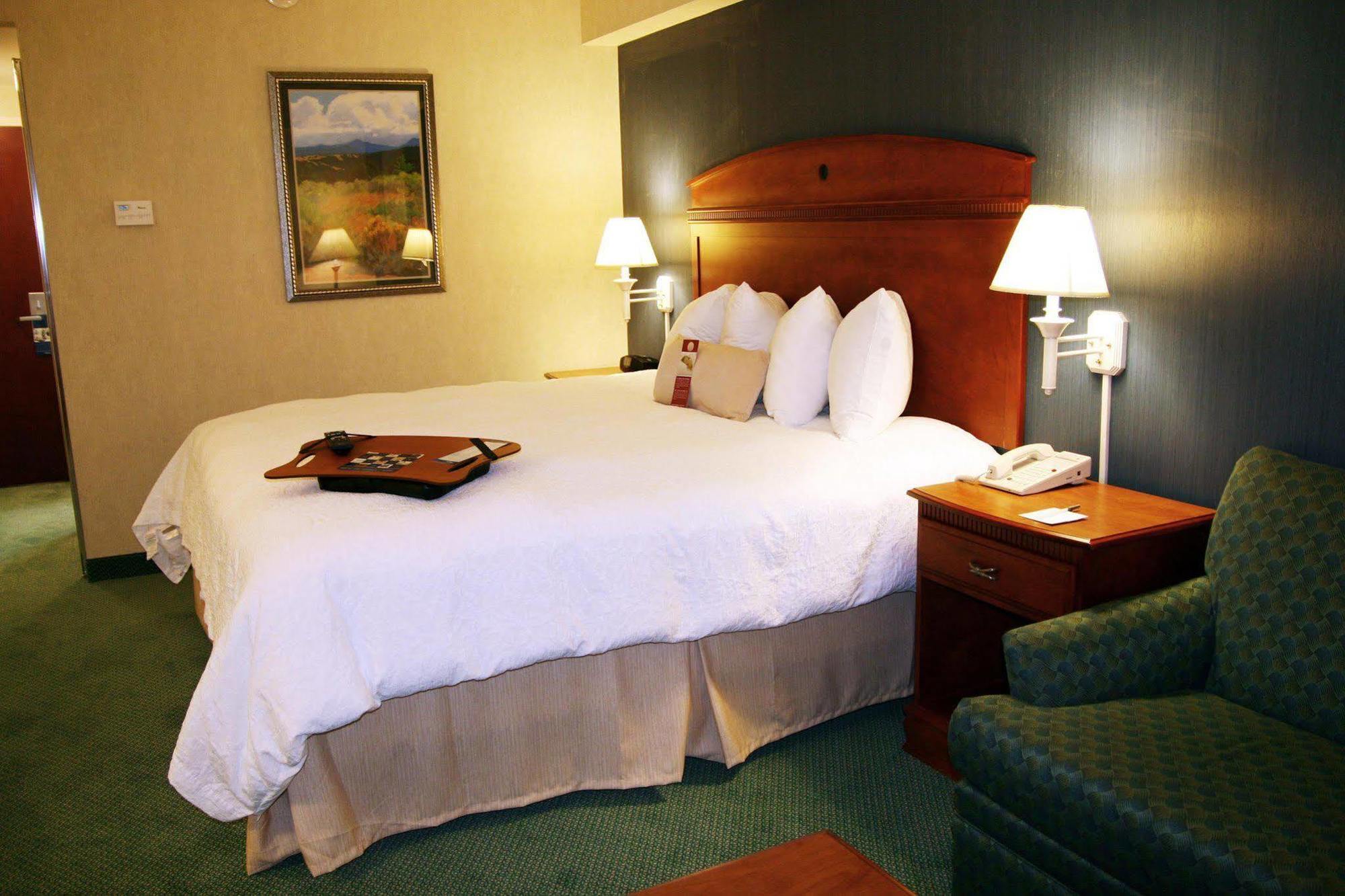 Hampton By Hilton Chihuahua