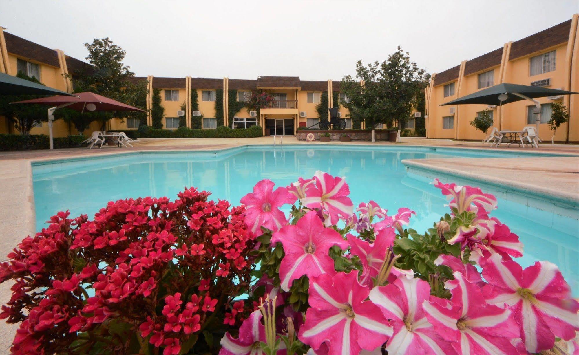 Hotel Sicomoro Chihuahua